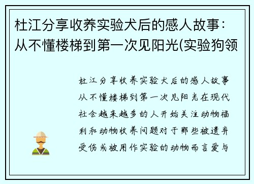 杜江分享收养实验犬后的感人故事：从不懂楼梯到第一次见阳光(实验狗领养)