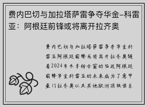 费内巴切与加拉塔萨雷争夺华金-科雷亚：阿根廷前锋或将离开拉齐奥