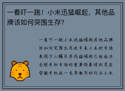 一看吓一跳！小米迅猛崛起，其他品牌该如何突围生存？