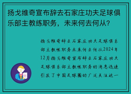 扬戈维奇宣布辞去石家庄功夫足球俱乐部主教练职务，未来何去何从？