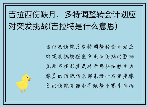 吉拉西伤缺月，多特调整转会计划应对突发挑战(吉拉特是什么意思)