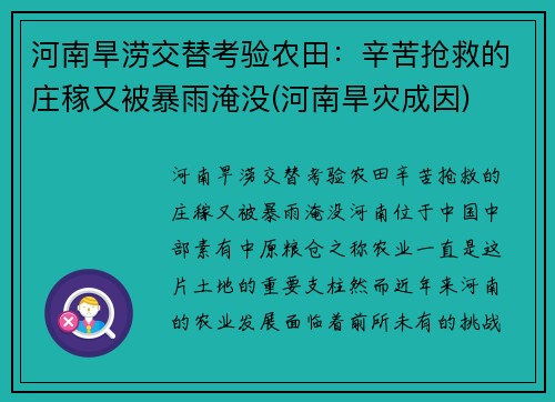 河南旱涝交替考验农田：辛苦抢救的庄稼又被暴雨淹没(河南旱灾成因)