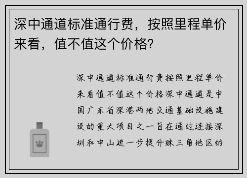 深中通道标准通行费，按照里程单价来看，值不值这个价格？