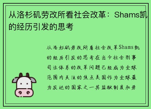 从洛杉矶劳改所看社会改革：Shams凯的经历引发的思考
